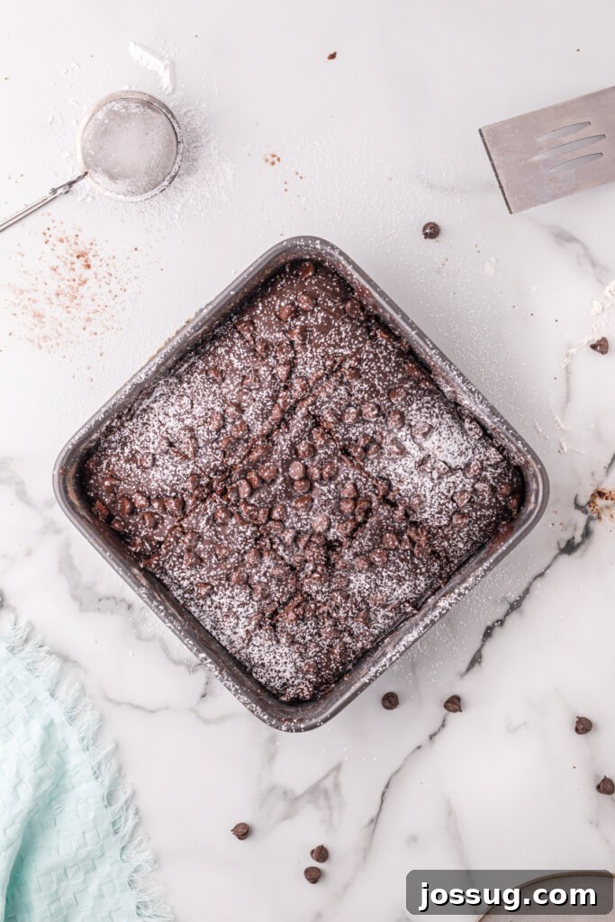 Everyday Chocolate Indulgence 3 looking down onto baking pan with finished chocolate snack cake sprinkled with powdered sugar