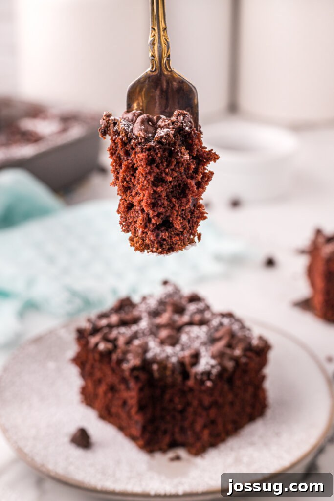 Everyday Chocolate Indulgence 4 bite of chocolate cake on fork over cake slice, highlighting texture