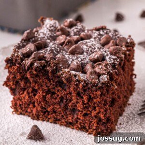 slice of chocolate cake