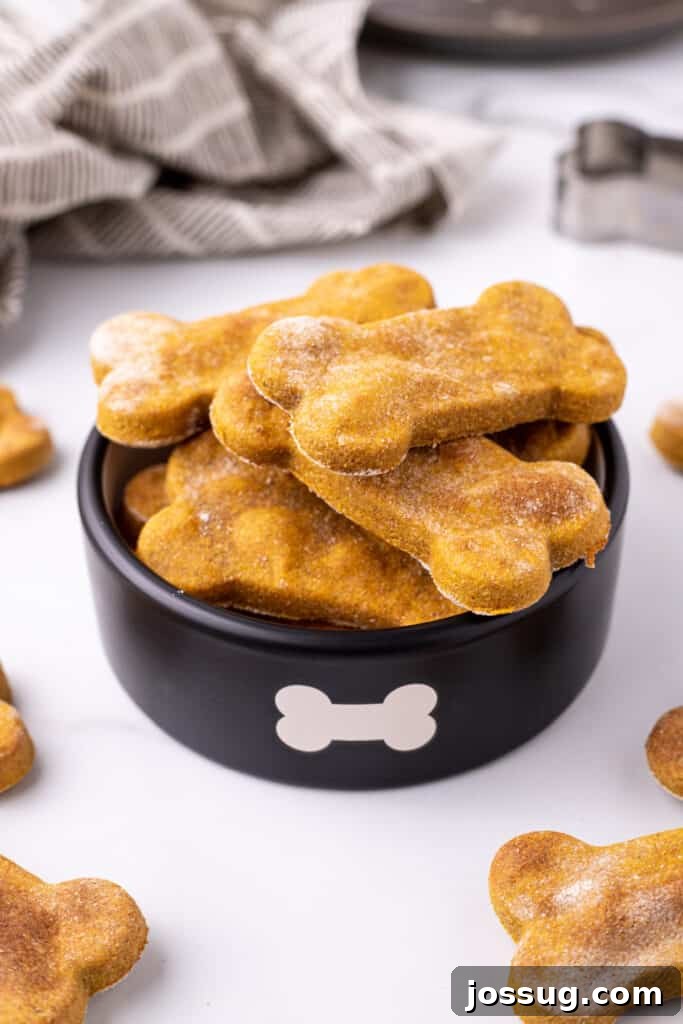 Pawsitively Delicious Air Fryer Treats 2 Close-up of golden brown bone-shaped air fryer dog treats stacked neatly in a black bowl, adorned with a decorative bone icon. The treats appear wholesome and freshly made.