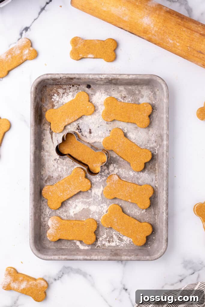Pawsitively Delicious Air Fryer Treats 11 Uncooked bone-shaped pumpkin dog treats neatly and strategically arranged on a baking tray, poised and ready for the air frying process.