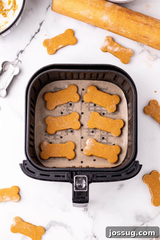 Pawsitively Delicious Air Fryer Treats 12 Cooked bone-shaped dog treats thoughtfully placed inside an air fryer basket, which is lined with parchment paper, indicating they are ready for their final air-frying stage.
