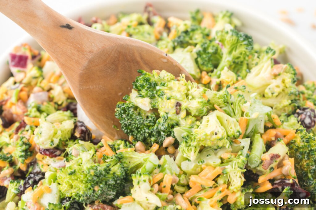 Vibrant Broccoli Medley 5 A serving spoon gracefully lifts a portion of broccoli salad from a bowl, showcasing the creamy dressing, colorful ingredients like red onion and cranberries, and crispy bacon bits.