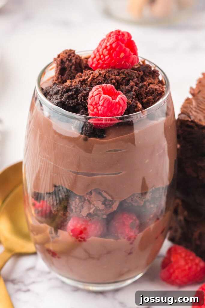 Decadent Brownie Parfaits 2 A stunning brownie parfait, artfully layered with chocolate brownie crumbles, creamy pudding, and fresh red raspberries, presented in a clear glass.