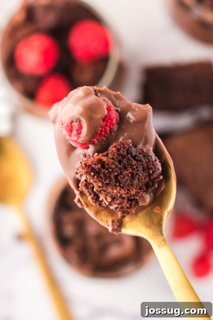 Decadent Brownie Parfaits 3 A golden spoon holds a perfect bite of brownie parfait, showcasing the delightful layers of brownie, pudding, and raspberry.