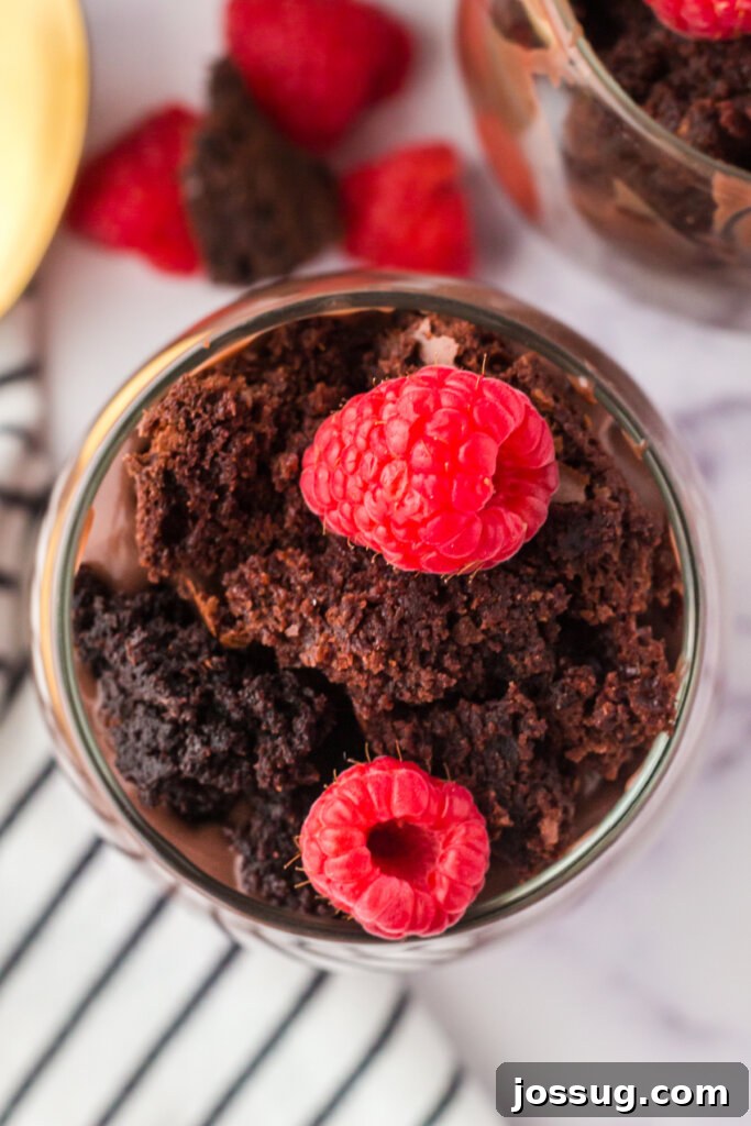 Decadent Brownie Parfaits 4 Close-up shot of a clear glass filled with layers of crumbled brownies, rich chocolate pudding, and fresh red raspberries, ready for assembly.