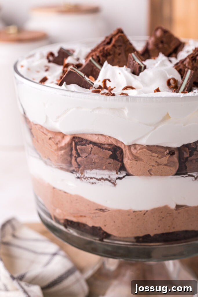 Layered Chocolate Brownie Indulgence 3 Close-up view of the layered chocolate brownie trifle, highlighting the rich textures and colors.
