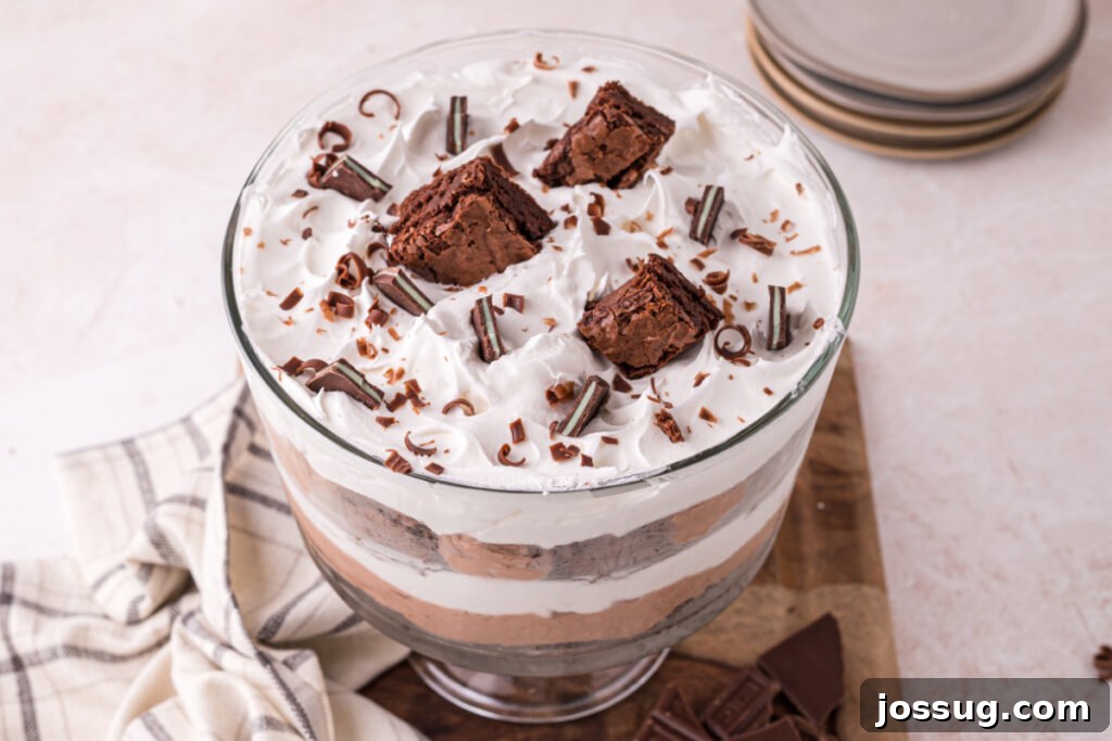 Layered Chocolate Brownie Indulgence 5 Overhead view of a beautiful chocolate brownie trifle dessert, perfect for a party.