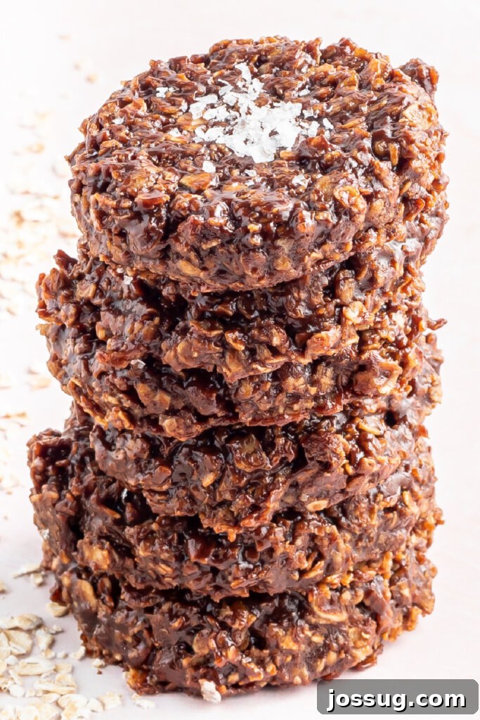 Six chocolate oatmeal cookies, perfectly stacked, showcasing their dense texture and delightful simplicity.