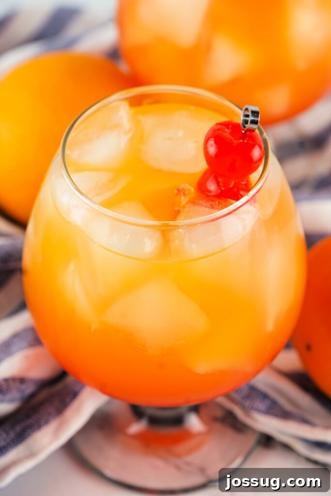 Coastal Rendezvous Cocktail 2 Sex on the Beach cocktail garnished with a cherry and orange slice, showcasing its beautiful layered colors