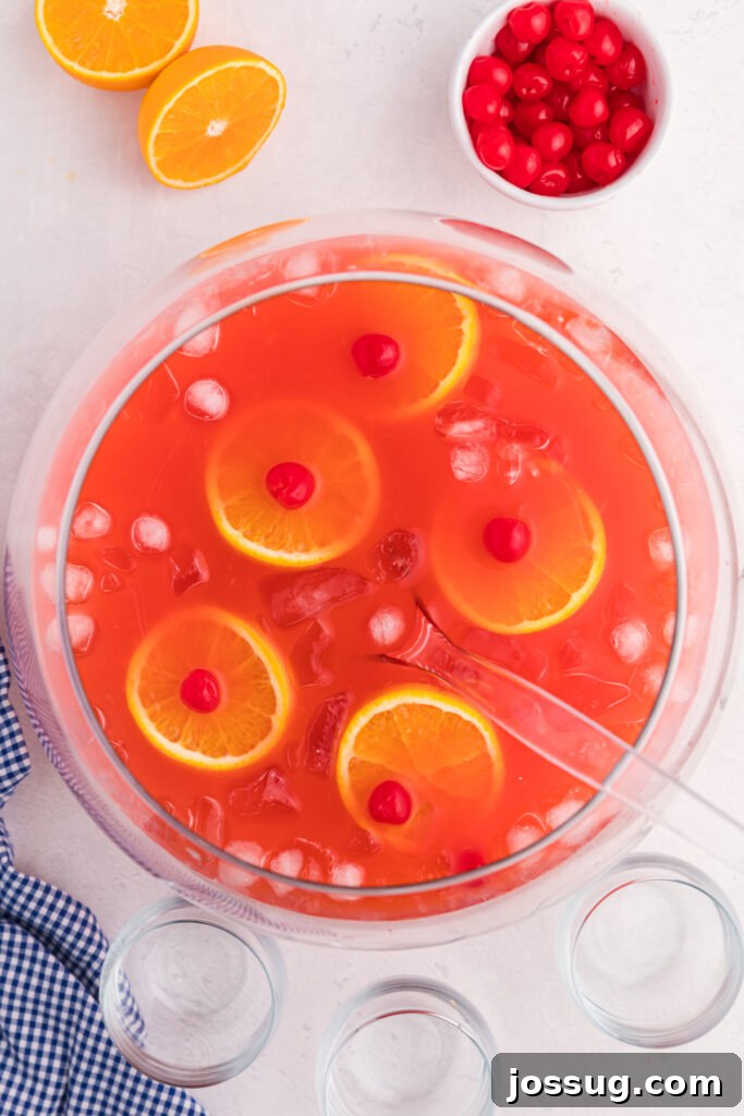 Starlet's Sweet Sparkle 4 looking down into a punch bowl with shirley temple punch