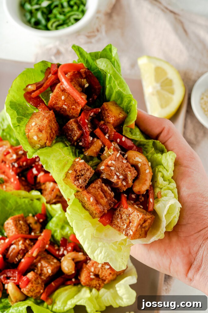 Hand holding a Teriyaki Tofu Lettuce Wrap