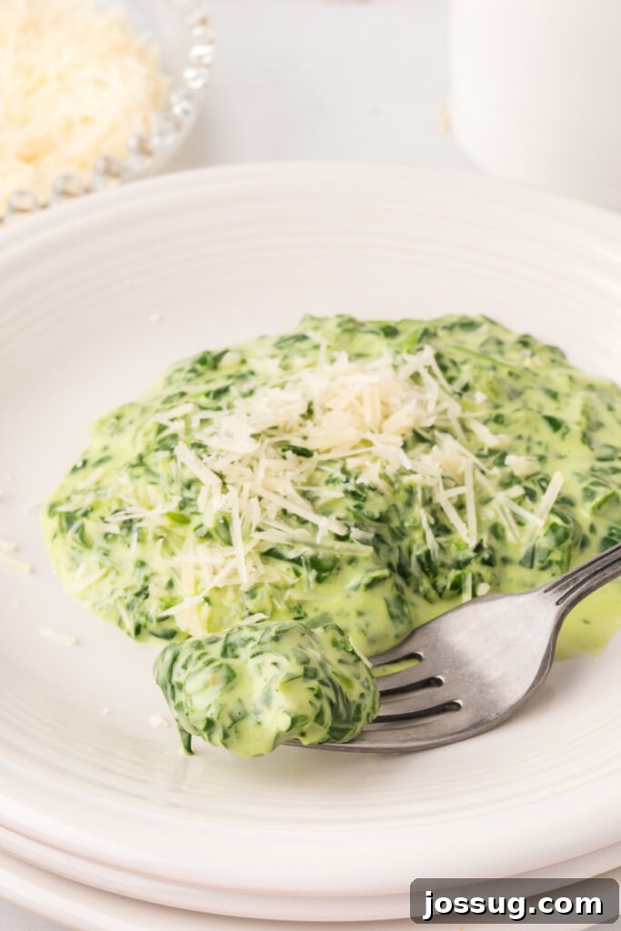 Gourmet Spinach Gratin 2 Creamed spinach served on a white plate with a fork, ready to be enjoyed with a main course steak.