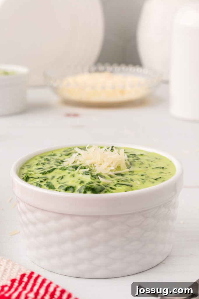 Gourmet Spinach Gratin 4 A pristine white bowl filled with freshly prepared creamed spinach, highlighting its smooth, appealing texture.