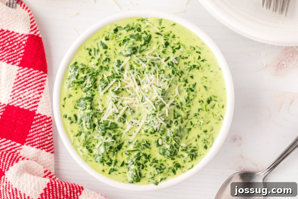 Gourmet Spinach Gratin 6 An overhead view of a steaming bowl of perfectly prepared creamed spinach, garnished and ready to be enjoyed.