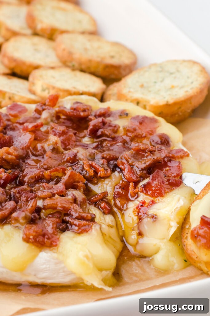Maple Bacon Brie Melt 2 baked maple bacon brie cheese on baking sheet with bread slices