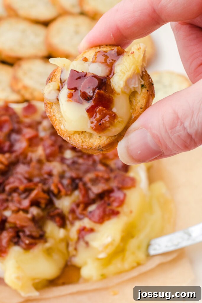 Maple Bacon Brie Melt 4 maple bacon brie cheese on bread