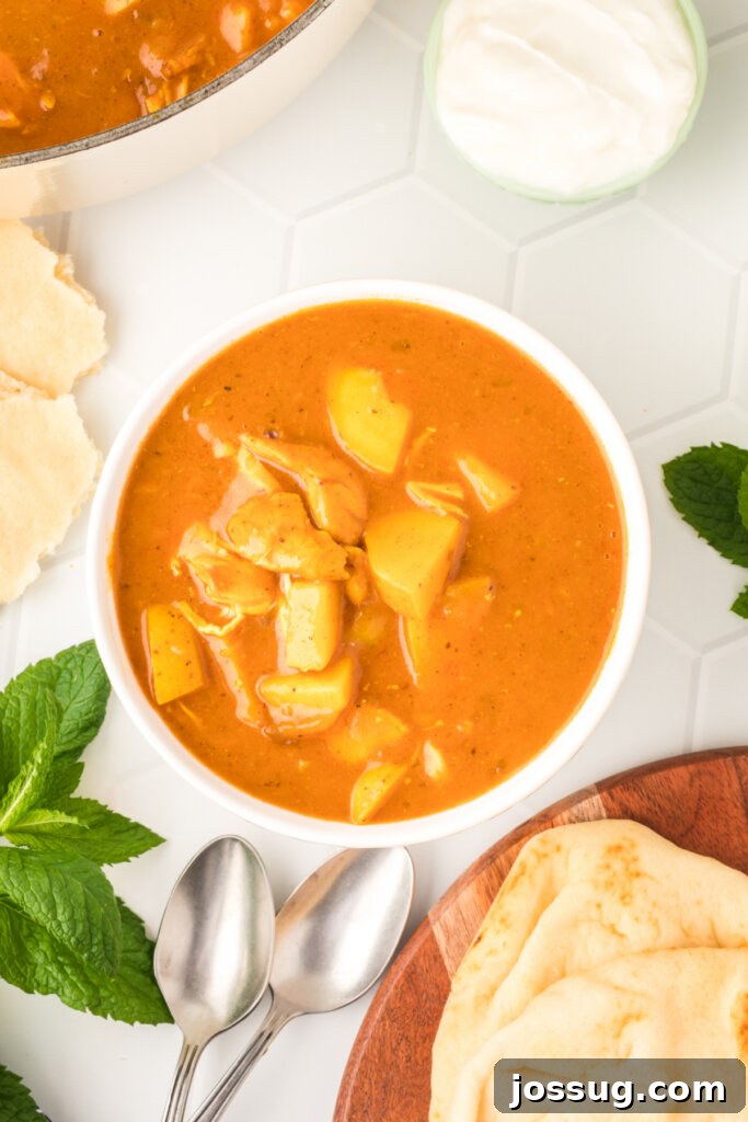 Close-up view of Indian Spiced Chicken Potato Stew in a bowl, showing the rich texture and vibrant colors.