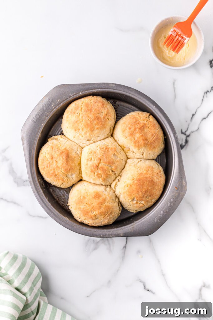 Eastern NC's Signature Cheese Biscuits 3 Cheese biscuits in baking pan