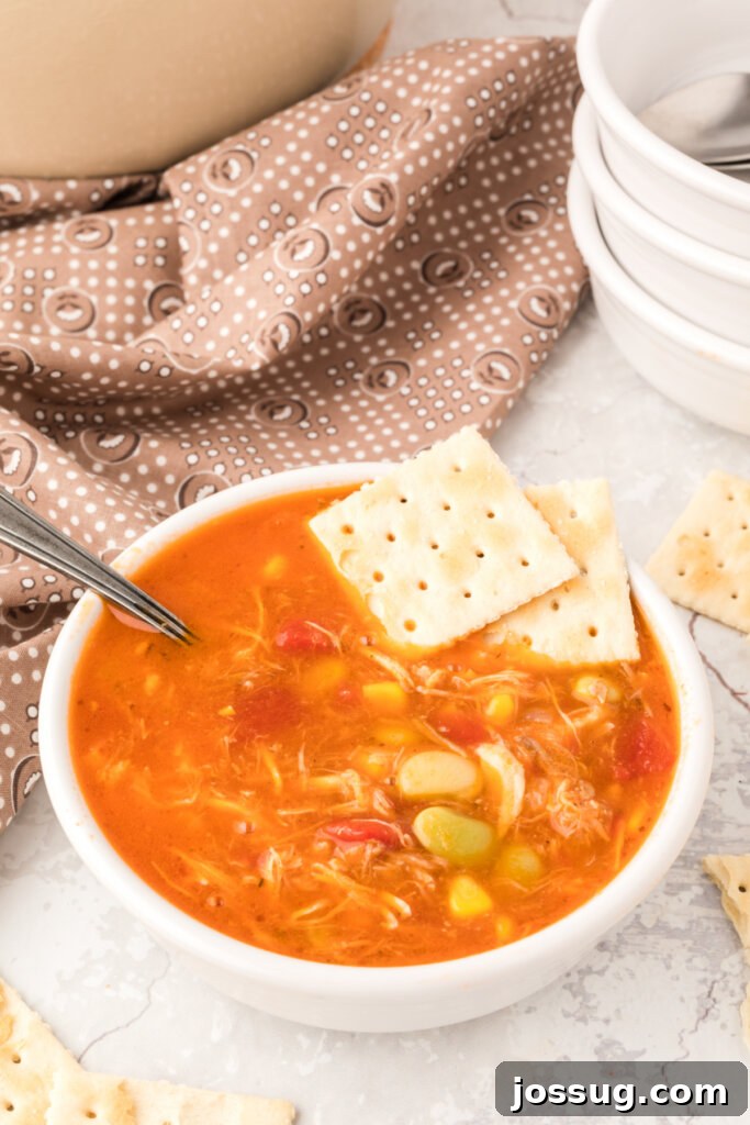 Brunswick stew garnished with a couple of crackers