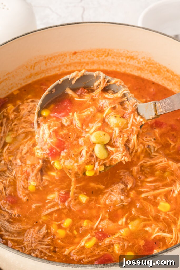 Brunswick stew in pot