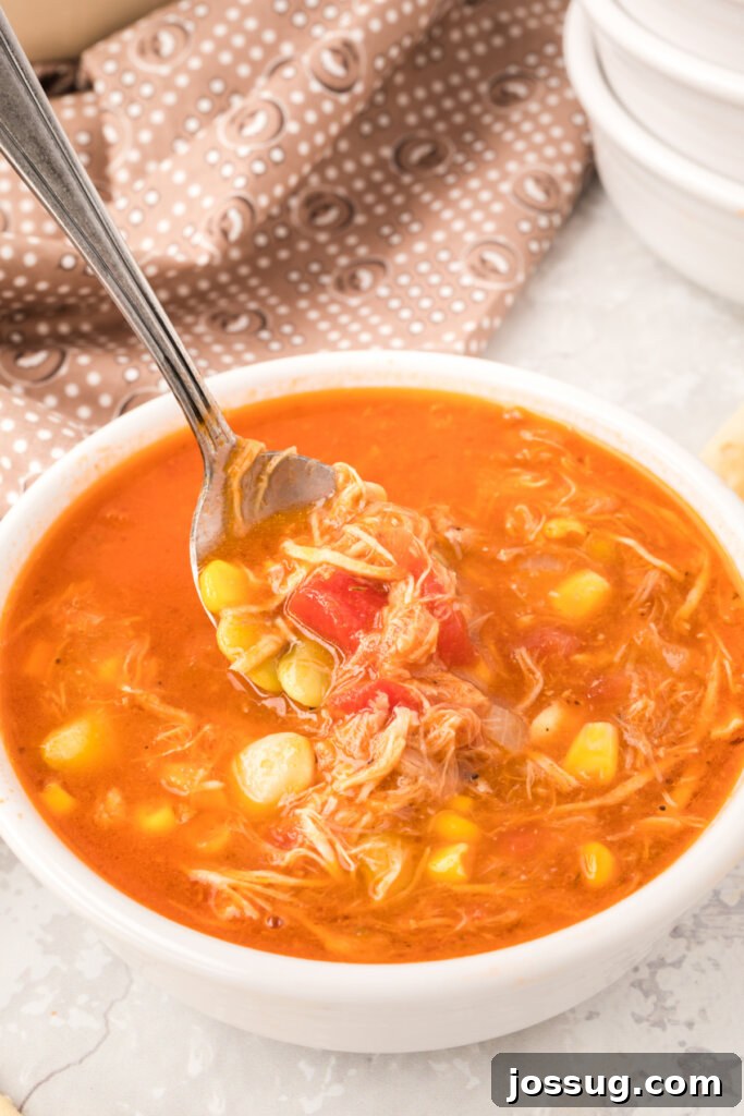 Spoon scooping some of the Brunswick Stew out of the bowl