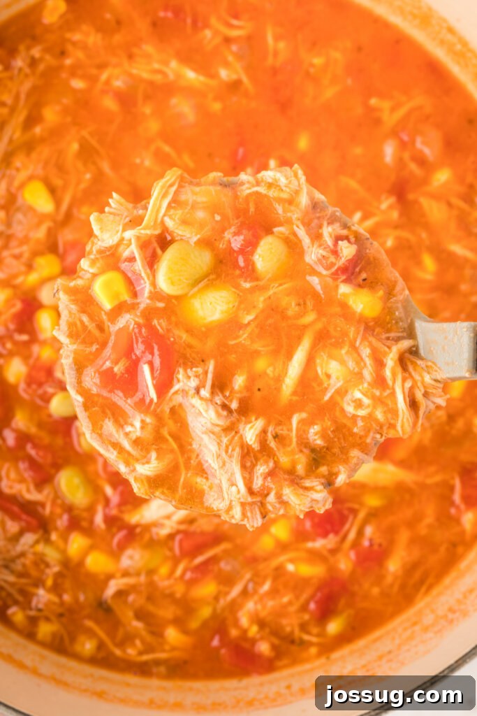 Closeup of soup being ladled