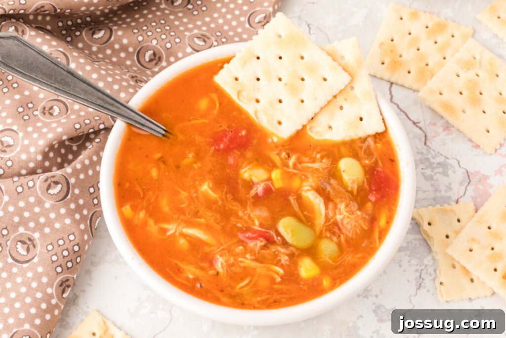 Looking down onto a bowl of Brunswick Stew