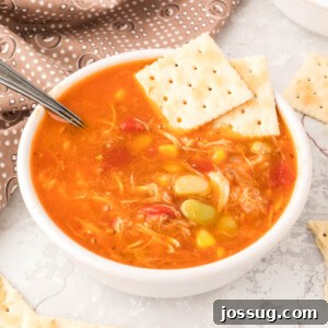 Bowl of Brunswick Stew with saltine crackers