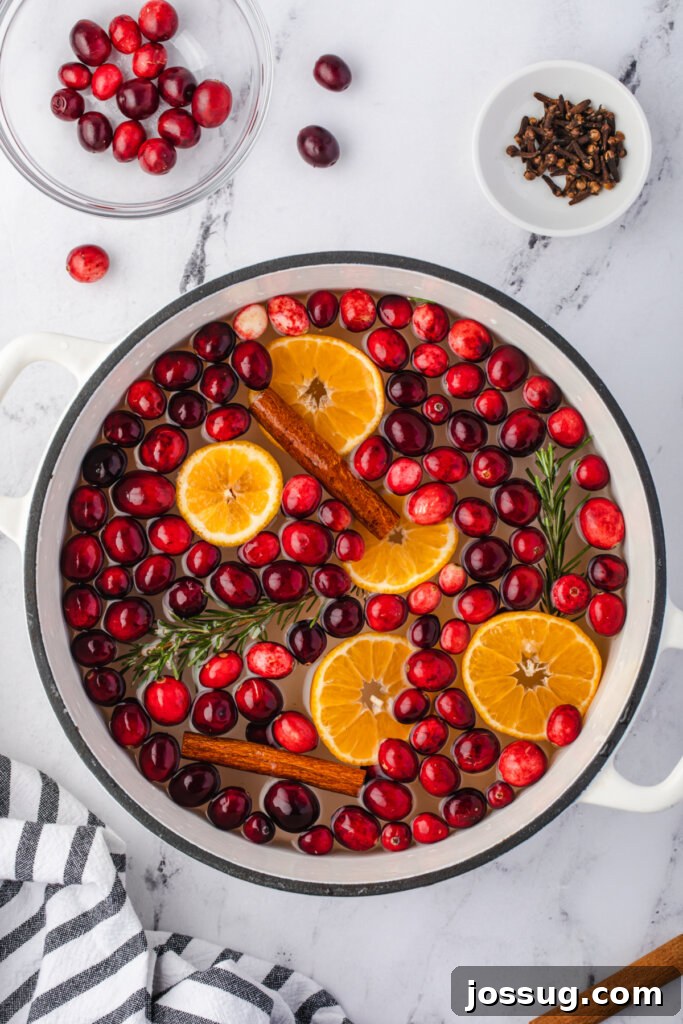 A simmering pot of holiday potpourri, featuring cranberries, orange slices, and cinnamon sticks.