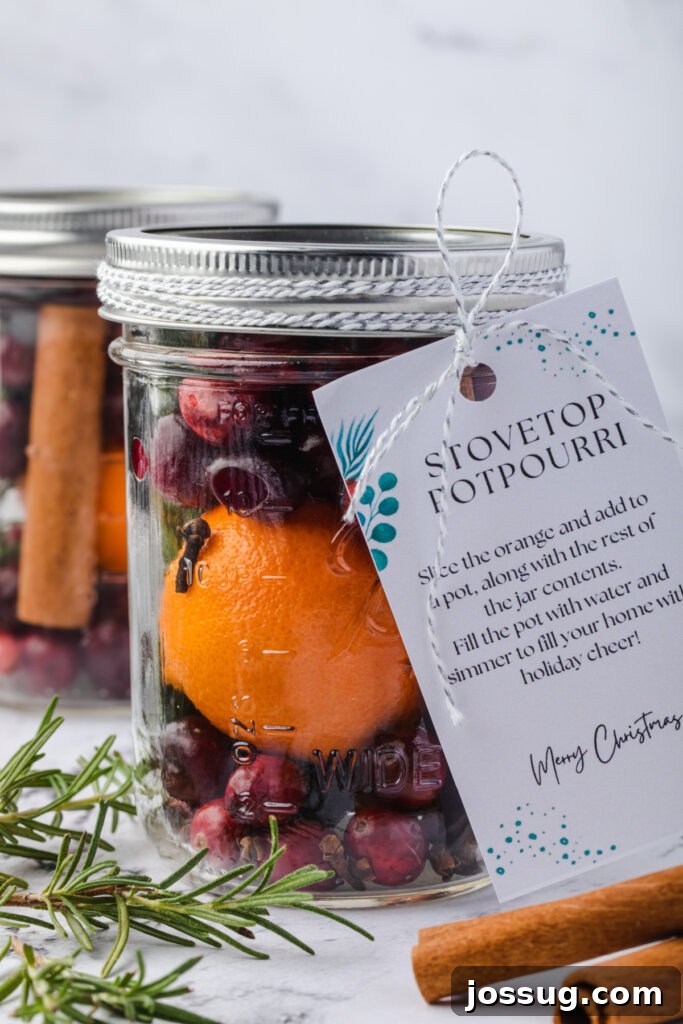 A pint-sized jar filled with holiday potpourri ingredients, ready for gifting.