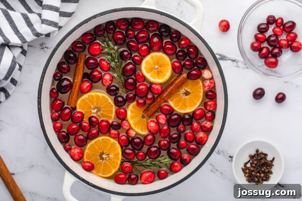 A festive stovetop potpourri simmering in a pot, filling the kitchen with holiday cheer.