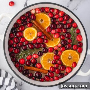 Holiday stovetop potpourri in white stockpot