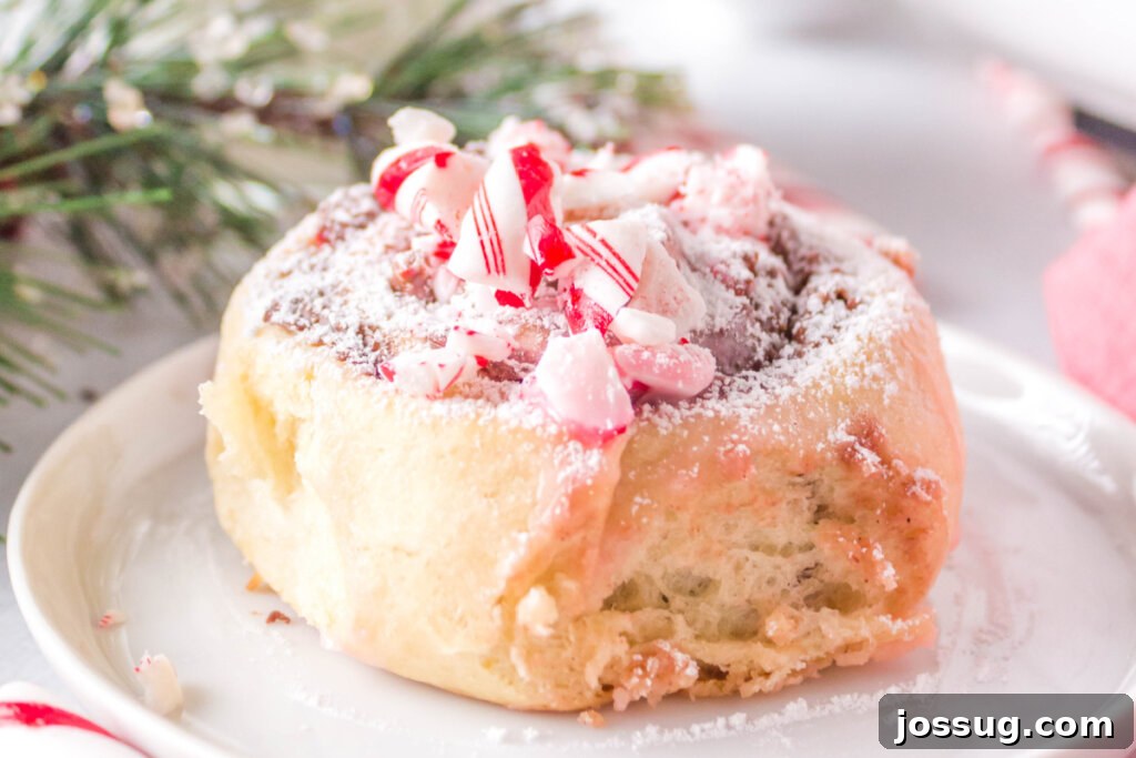 candy cane cinnamon roll on white plate