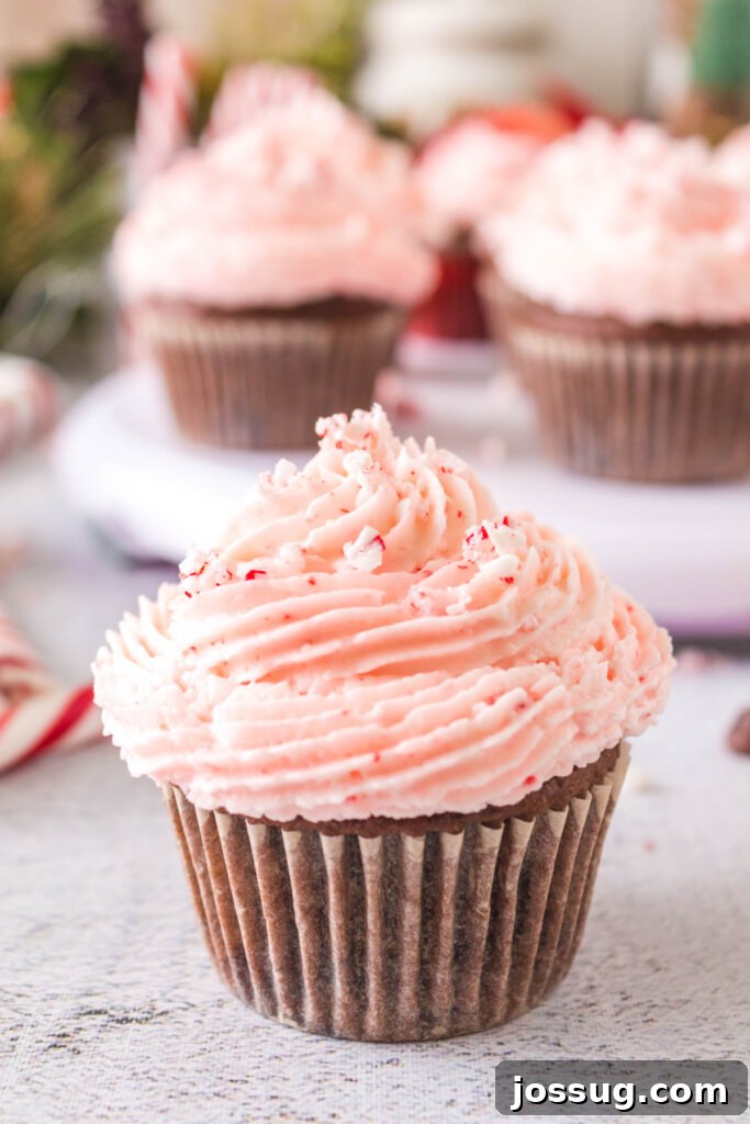 Peppermint Swirl Chocolate Cupcakes 2 Delicious chocolate peppermint cupcakes ready to be served, topped with white frosting and crushed candy canes