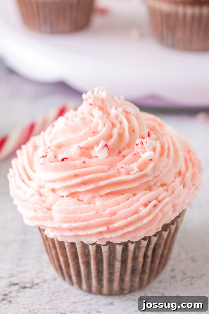 Peppermint Swirl Chocolate Cupcakes 5 Finished chocolate peppermint cupcake topped with frosting and crushed candy canes, ready to eat