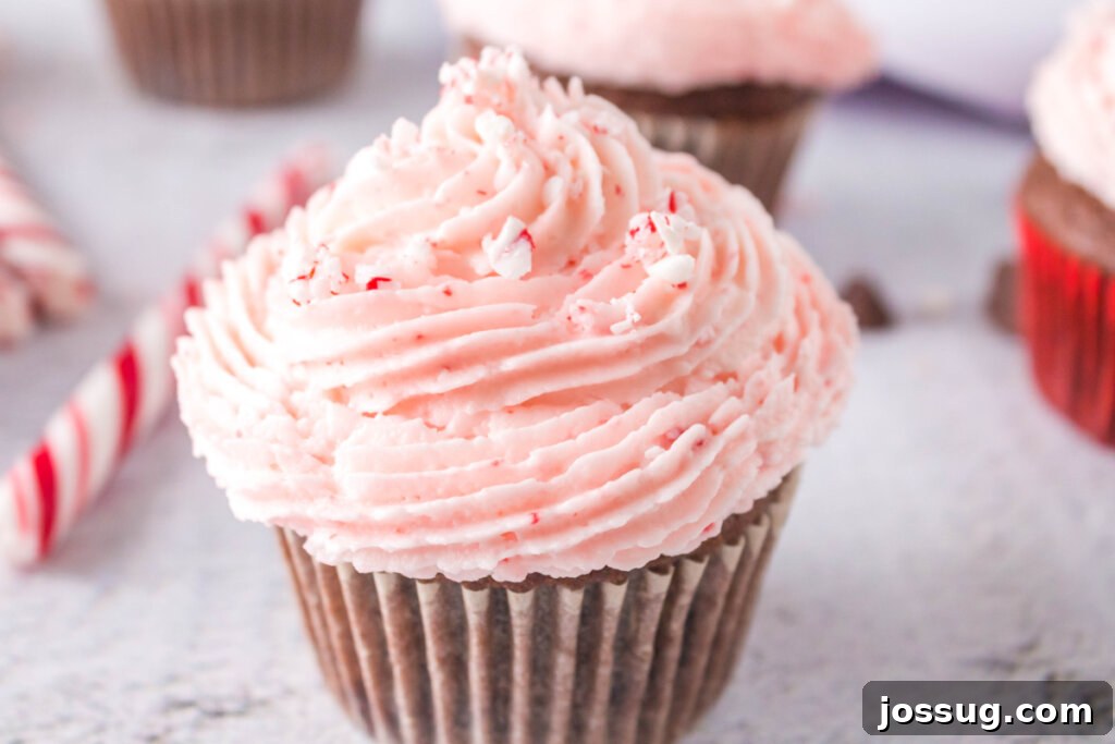 Peppermint Swirl Chocolate Cupcakes 6 Close-up of a single chocolate cupcake with a generous swirl of peppermint candy cane frosting, garnished with crushed candy