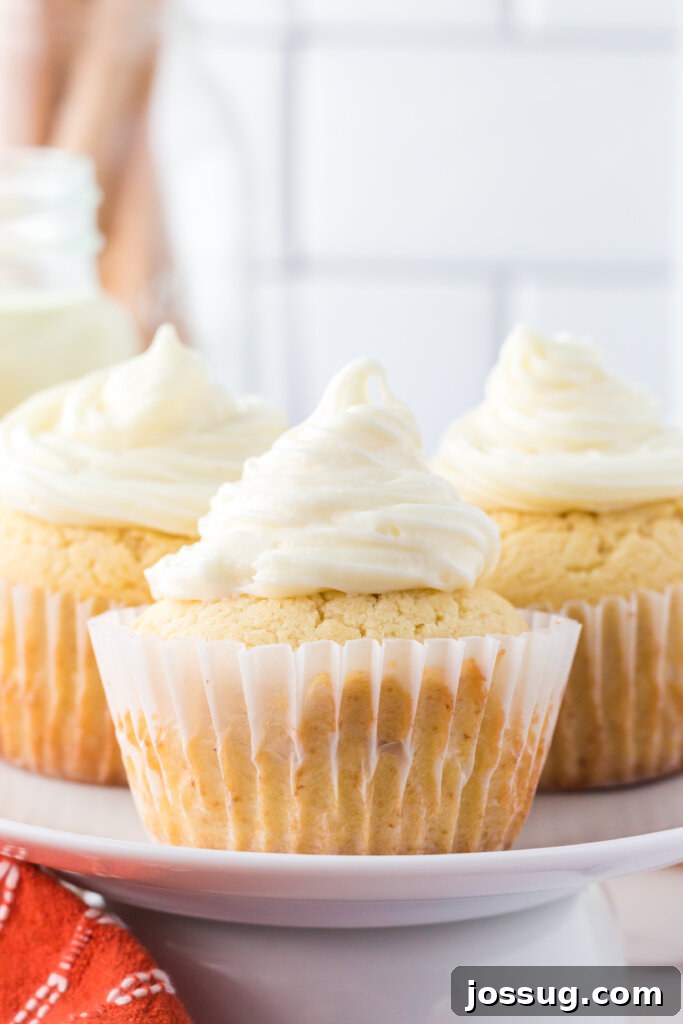 Festive Eggnog Cupcakes 5 A single, perfectly frosted eggnog cupcake sits ready in its paper liner, exuding simple elegance and festive charm.