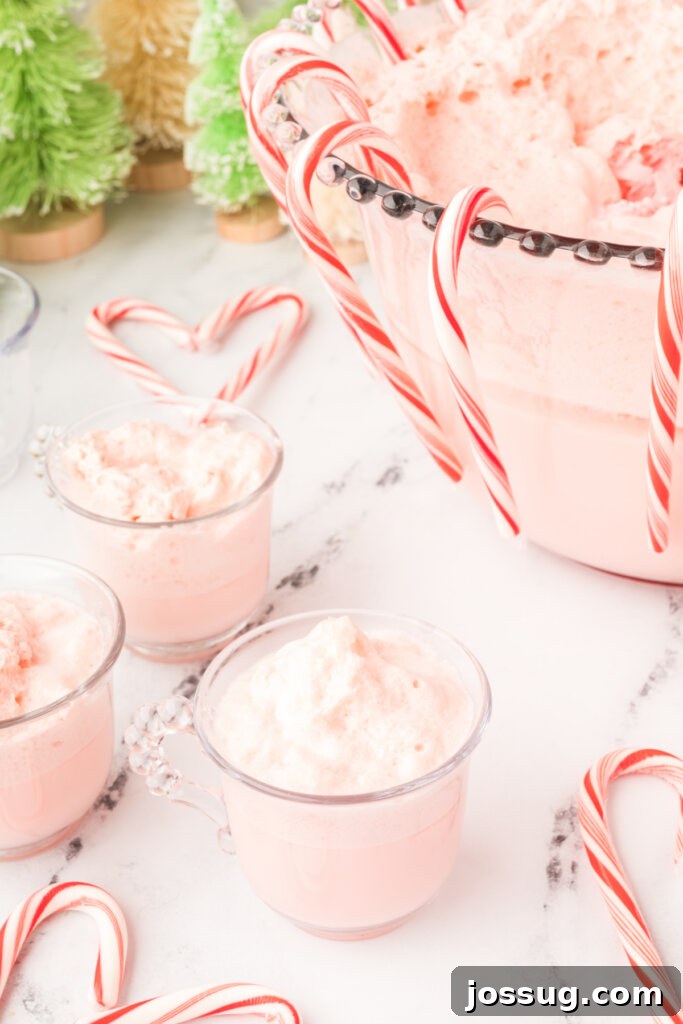 holiday punch recipe ready to drink