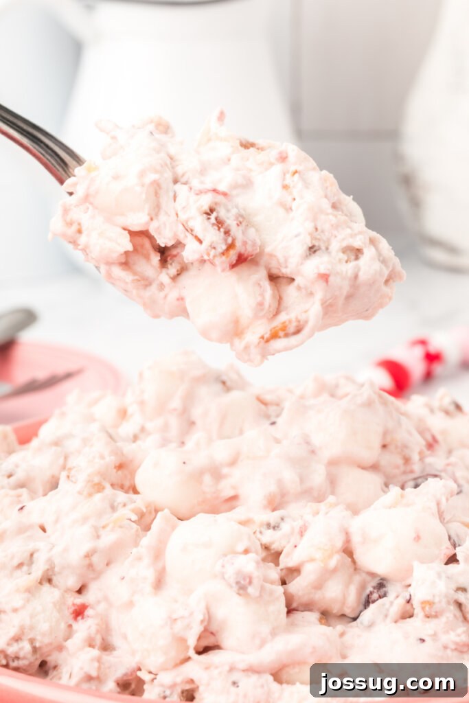 cranberry fluff salad on spoon