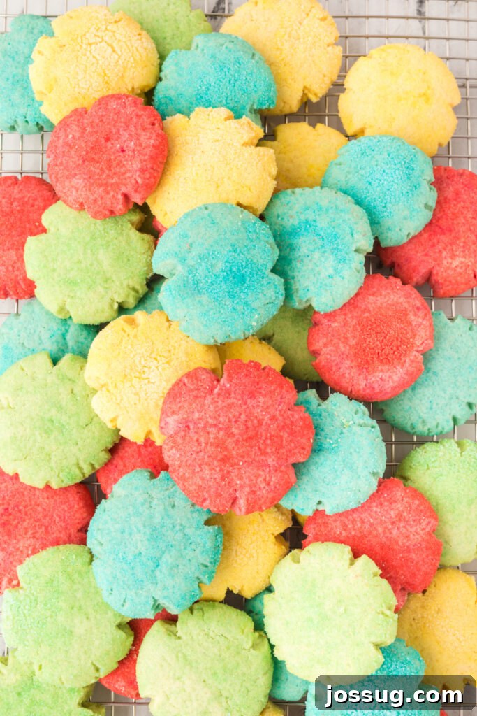 Close-up shot looking down onto different colors of Jello cookies laid out