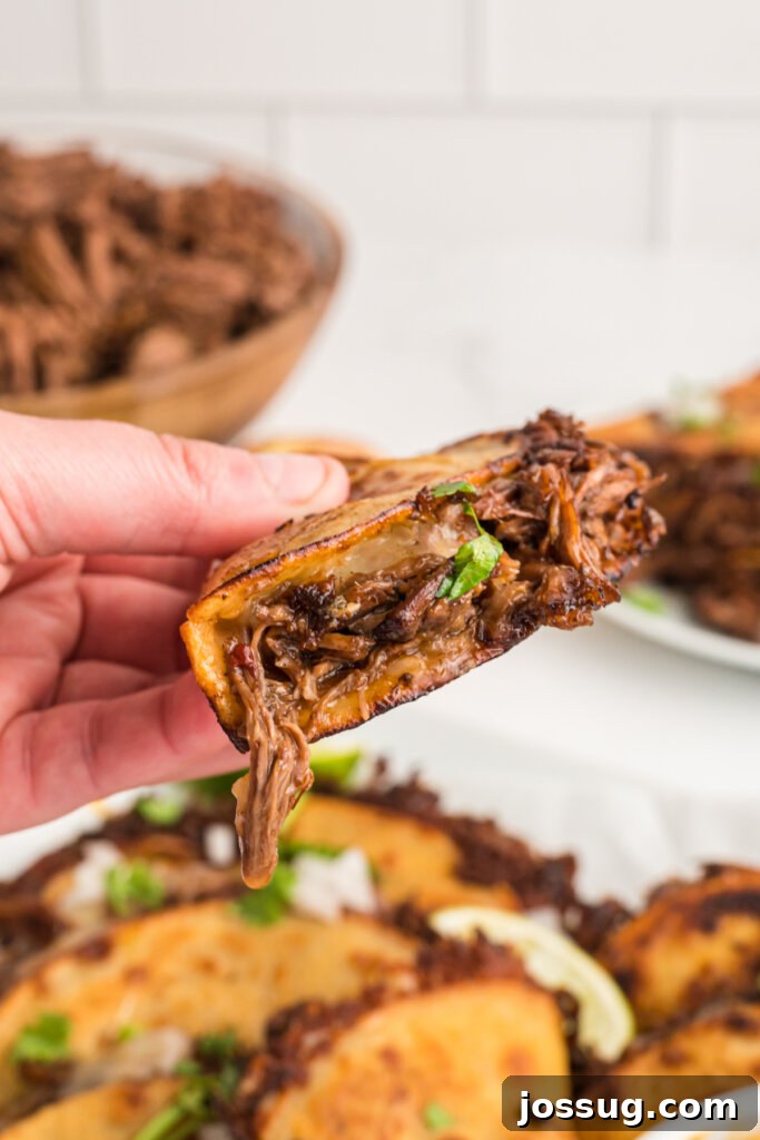 Close-up of a hand holding a Birria taco, showing the tender meat inside