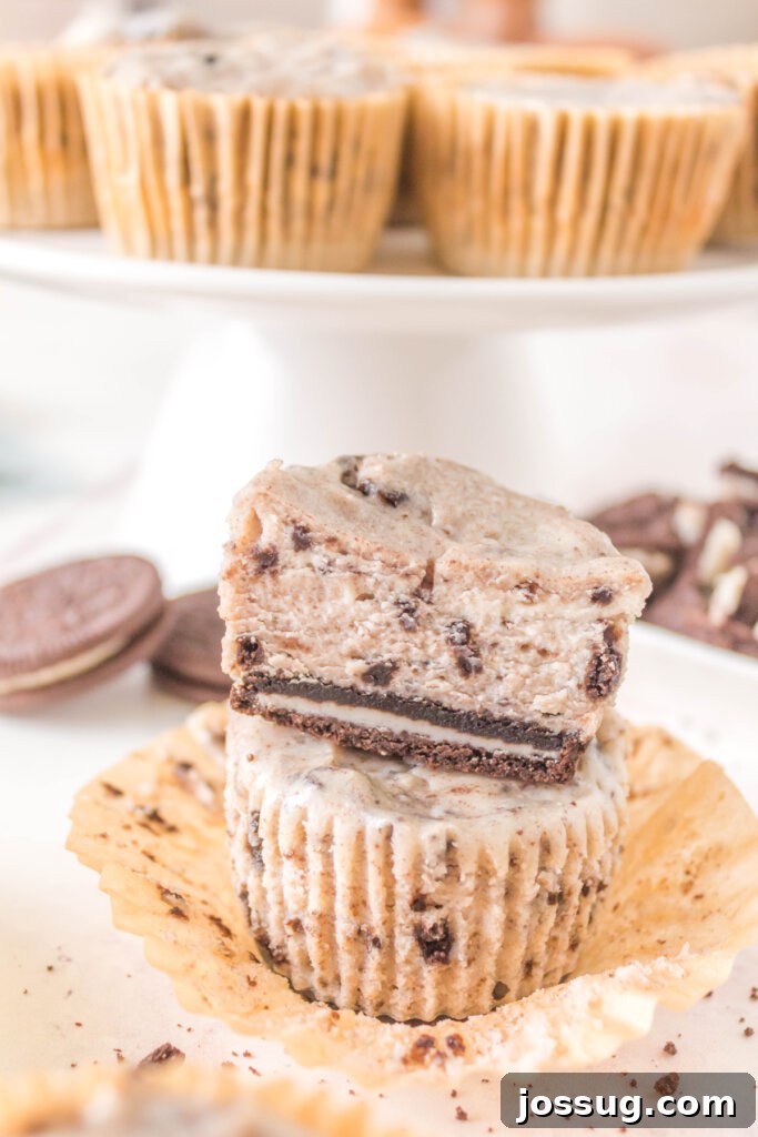 Two beautifully stacked Oreo Cheesecake Cupcakes, showcasing their creamy, speckled filling and dark, inviting cookie crust. Perfect for any dessert table.