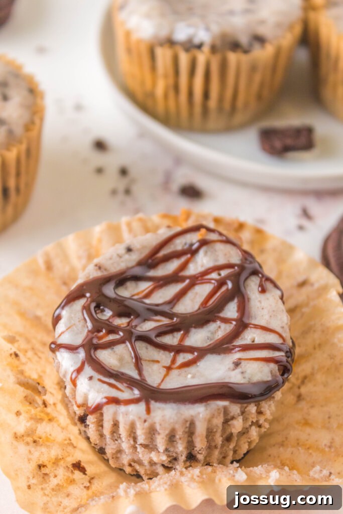 A tantalizing close-up of an Oreo Cheesecake Cupcake adorned with a rich chocolate topping, highlighting its decadent appeal and smooth texture.