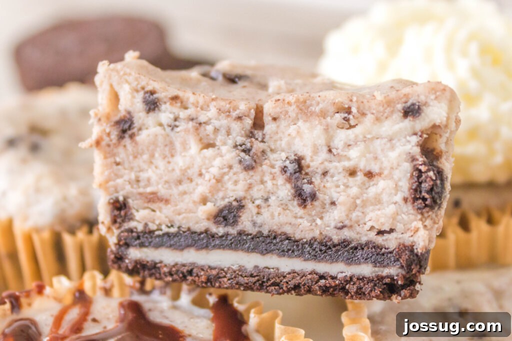 A detailed close-up shot revealing the inside of an Oreo Cheesecake Cupcake, clearly showing the distinct and delicious layers of the crunchy Oreo crust and the rich, creamy cheesecake filling.