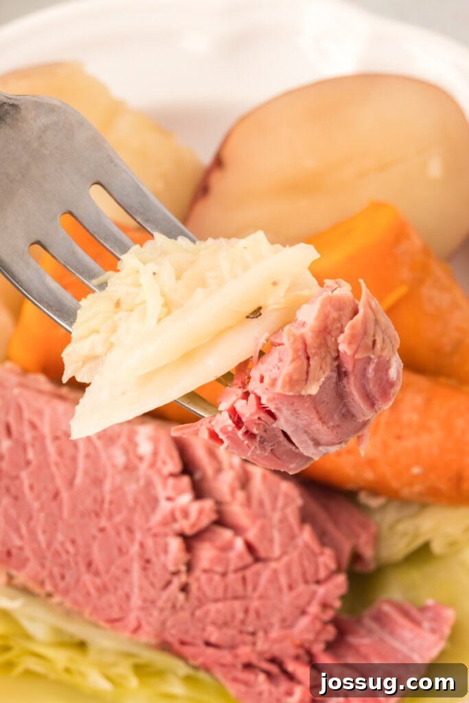 A close-up view of a fork holding a perfect bite of tender corned beef and sweet cabbage, highlighting the texture and deliciousness of the dish.