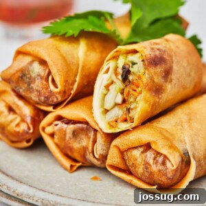 closeup vegetable spring rolls