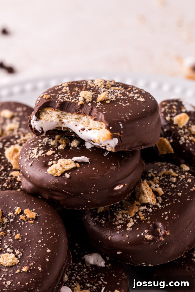 Gooey Smores Cracker Bites 2 A plate full of golden S'mores Cracker Cookies, ready to be enjoyed.
