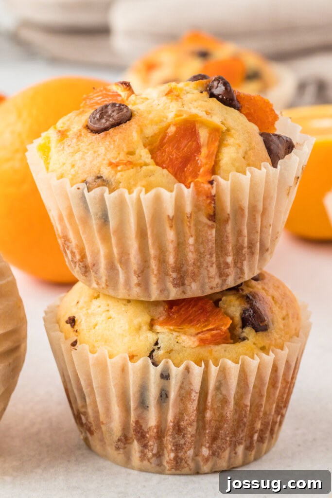 Sunshine Citrus Muffins 2 Two perfectly golden-brown orange chocolate chip muffins stacked on a wooden board, showcasing their moist texture and vibrant orange zest.