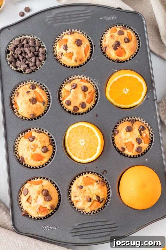 Sunshine Citrus Muffins 4 Freshly baked orange chocolate chip muffins cooling in a 12-cup muffin tin, with a golden-brown dome and visible chocolate chips.